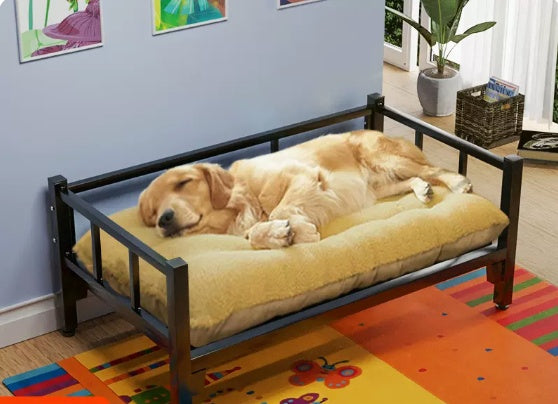 KFX-5820861 Washable Four Seasons All-Purpose Dog Bed with Removable Pads and Cushions