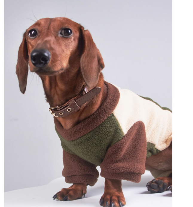 KFX-5826749 Thermal Grain Velvet Pet Clothing for Dogs and Cats – Warm Casual Outfit for Daily Use