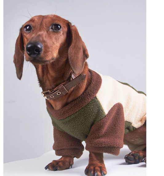 KFX-5826749 Thermal Grain Velvet Pet Clothing for Dogs and Cats – Warm Casual Outfit for Daily Use
