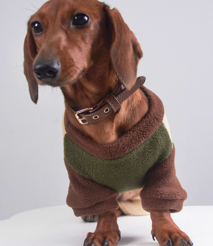 KFX-5826749 Thermal Grain Velvet Pet Clothing for Dogs and Cats – Warm Casual Outfit for Daily Use