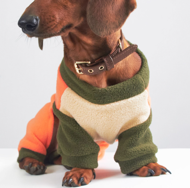 KFX-5826749 Thermal Grain Velvet Pet Clothing for Dogs and Cats – Warm Casual Outfit for Daily Use