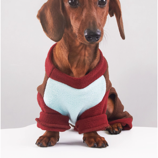 KFX-5826749 Thermal Grain Velvet Pet Clothing for Dogs and Cats – Warm Casual Outfit for Daily Use
