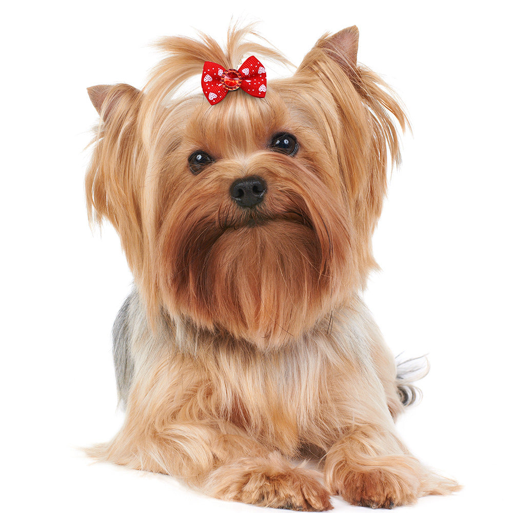 KFX-5827005 Flower Dog and Cat Hair Bow Rubber Band Scrunchie Accessories - 3-4cm, Pack of 50