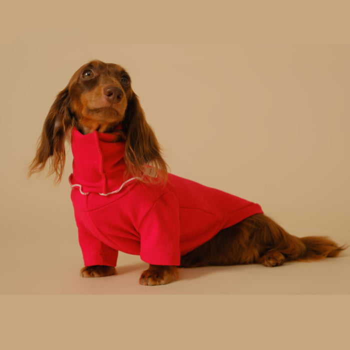 KFX-5830333 Casual Four-Legged Pet Coat for Dachshunds - Available in Red, Gray, Green, Silver