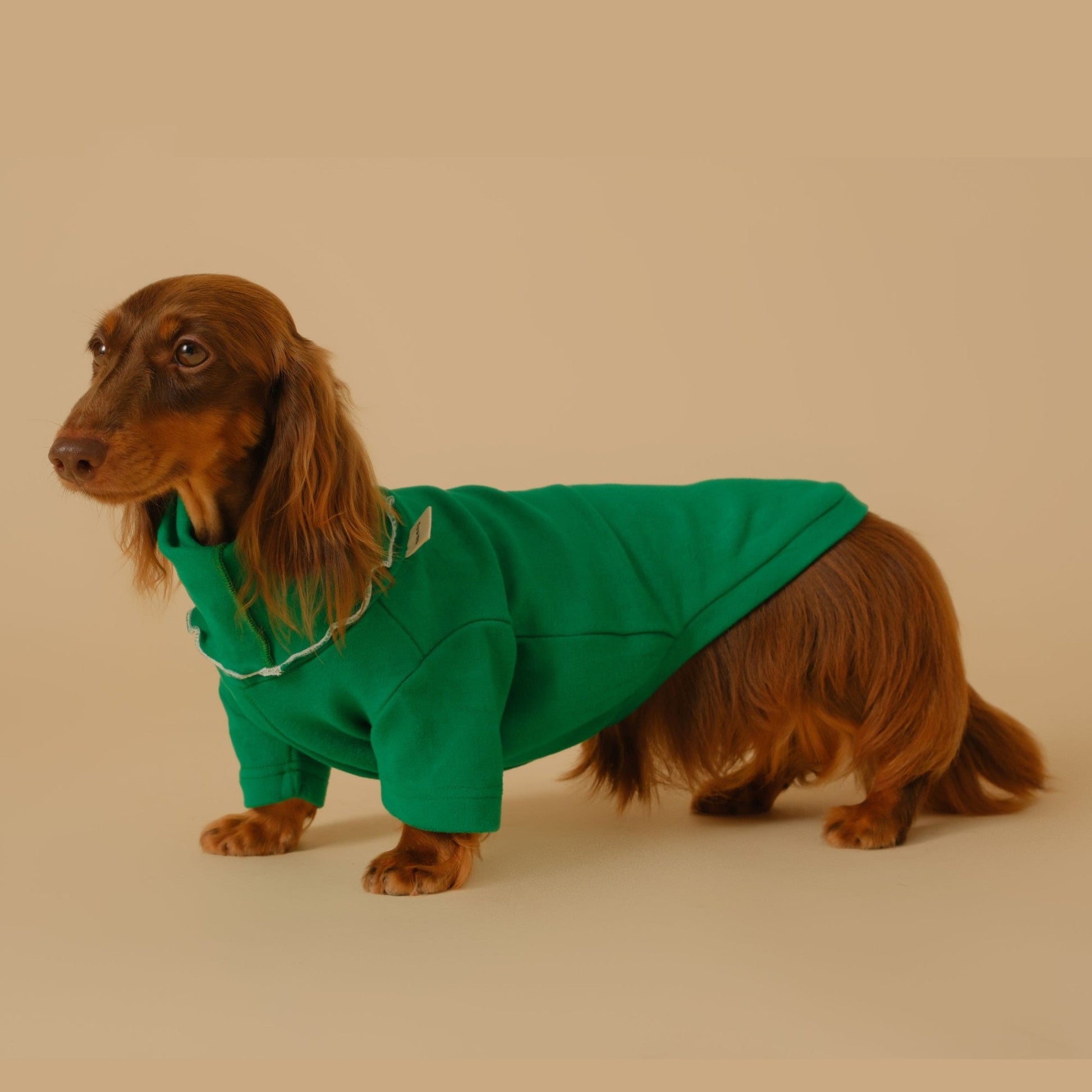 KFX-5830333 Casual Four-Legged Pet Coat for Dachshunds - Available in Red, Gray, Green, Silver