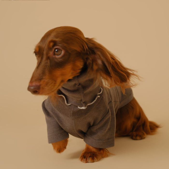 KFX-5830333 Casual Four-Legged Pet Coat for Dachshunds - Available in Red, Gray, Green, Silver