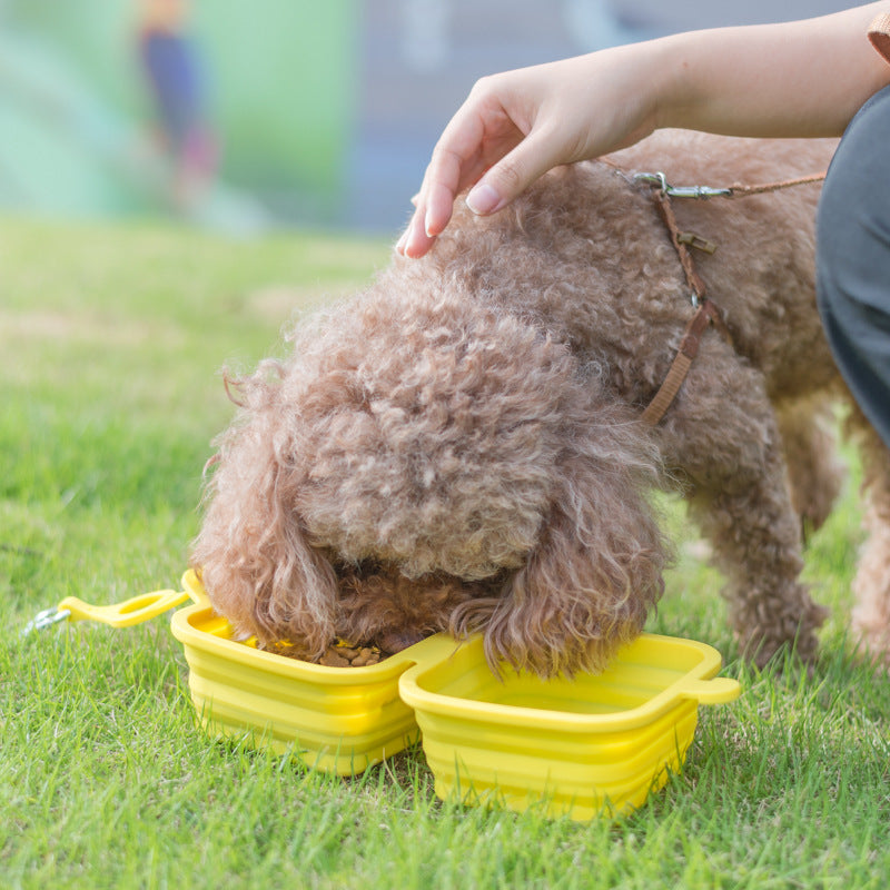 KFX-5831741 Collapsible Silicone Double Bowl for Dogs and Cats - Portable Feeding Dish for Food and Water