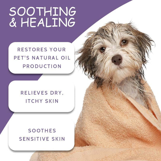 KFX-5841341 Pet Shower Gel for Lasting Fragrance and Sterilization - 100g