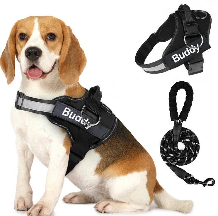 KFX-5845309 Couple Dog Chest Strap with Lead Rope – Durable Polyester Pet Harness
