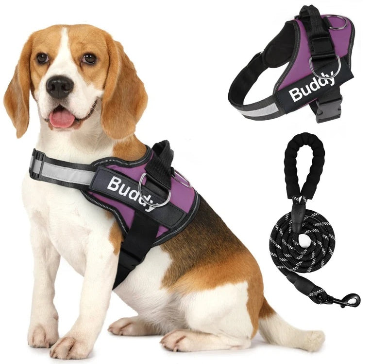 KFX-5845309 Couple Dog Chest Strap with Lead Rope – Durable Polyester Pet Harness
