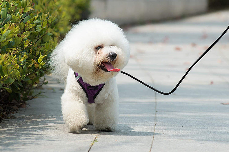 KFX-5848509 Reflective Mesh Dog Walking Rope with Adjustable Chest Strap - Breathable and Scalable Pet Harness