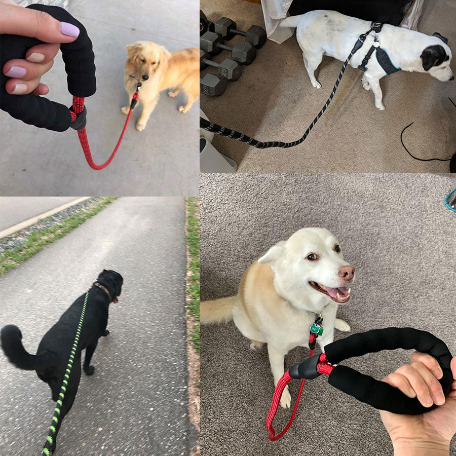 KFX-5849021 Comfortable Nylon Dog Leash 1.5m Reflective Heavy Duty for Small to Medium Pets