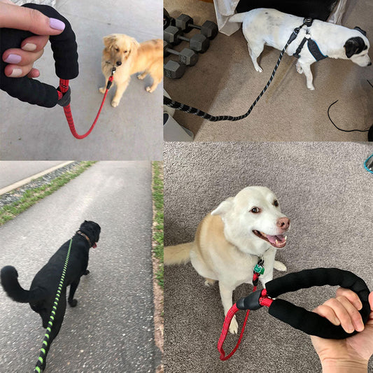 KFX-5849021 Comfortable Nylon Dog Leash 1.5m Reflective Heavy Duty for Small to Medium Pets