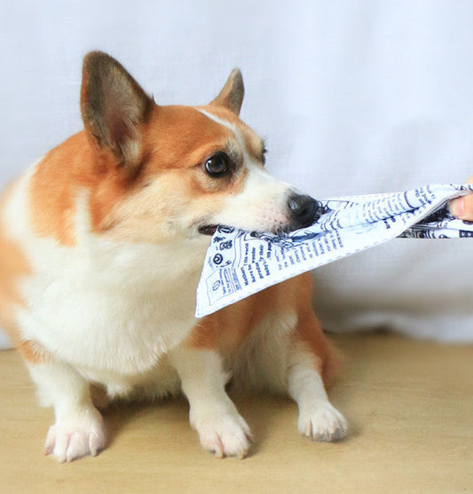KFX-5850045 Pet Dog Sound Paper Toy - Cloth and Sound Paper Newspaper for Playtime, 25x18cm