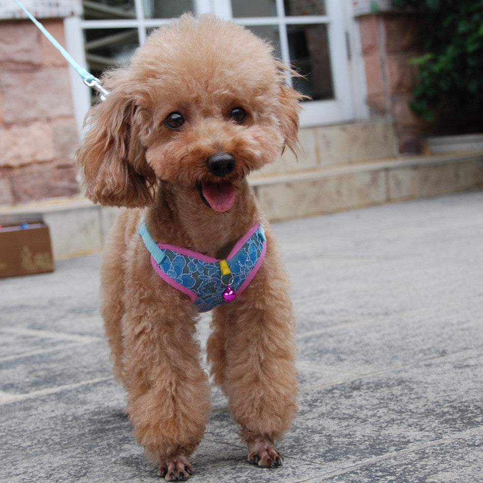 KFX-5854269 Pet Dog and Cat Lace Trim Undershirt Leash Chest Harness - Blue, Purple, Rose - Multiple Sizes Available