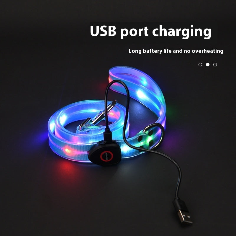 KFX-5854781 LED Collar with Hand Holding Rope for Pets in Multiple Colors