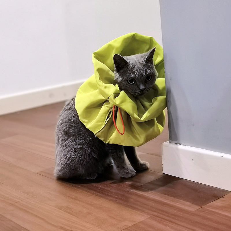 KFX-5862205 Adjustable Soft Cat Cone Collar for Recovery | Anti-Licking & Eating Friendly Design for Cats and Small Dogs