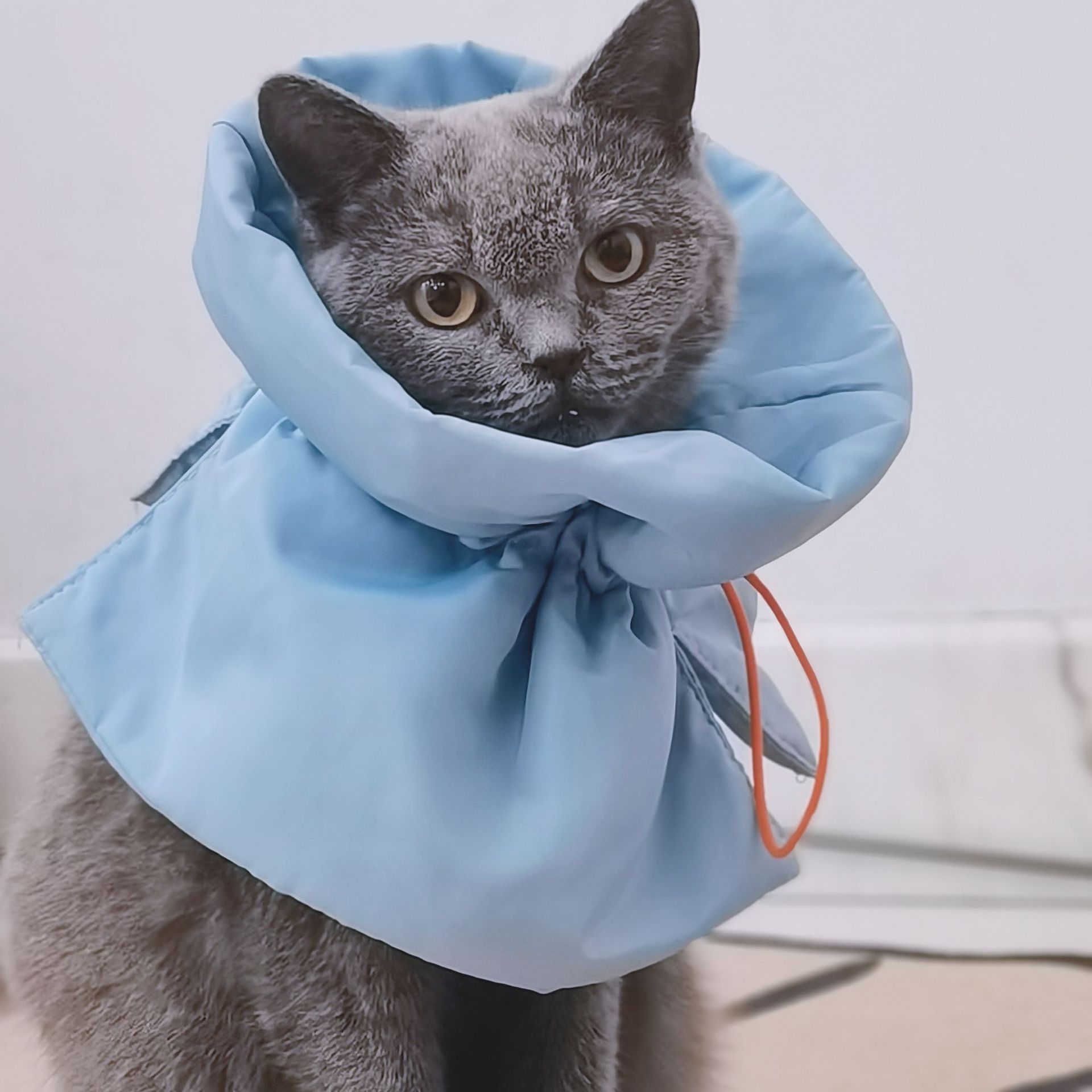 KFX-5862205 Adjustable Soft Cat Cone Collar for Recovery | Anti-Licking & Eating Friendly Design for Cats and Small Dogs