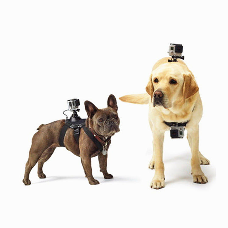 KFX-5870653 Dog Chest and Back Harness for GoPro Camera - Adjustable and Water-Washable Pet Mount