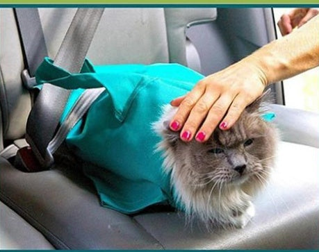 KFX-5872701 Pet Travel Sling Carrier Backpack for Cats and Small Dogs with Adjustable Neck and Breathable Design