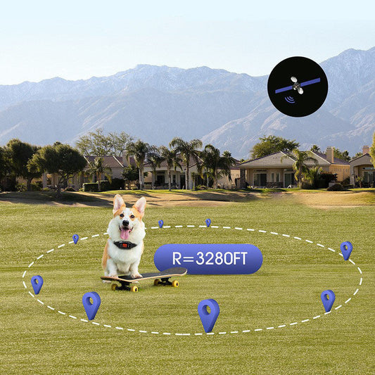 KFX-5874237 Intelligent GPS Positioning Wireless Outdoor Training Device - Black