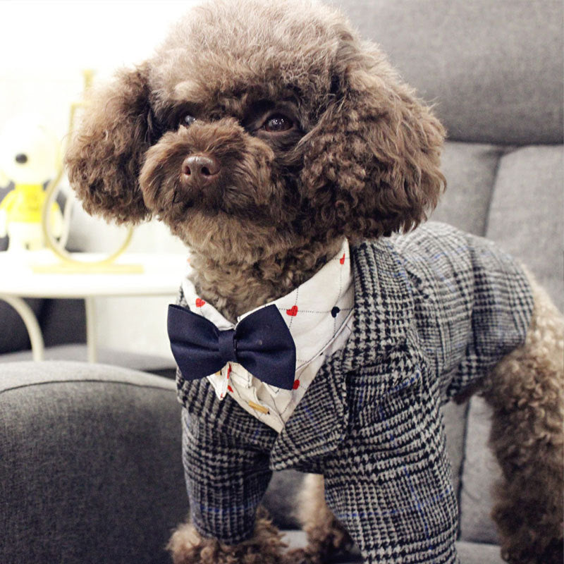 KFX-5880381 Stylish British Woolen Suits for Pets - Multiple Sizes Available