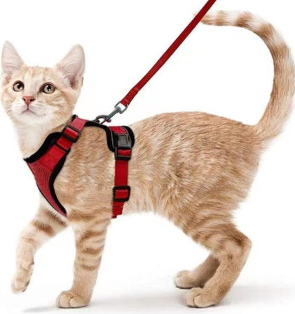 KFX-5881277 Breathable Reflective Cat Harness with Adjustable Straps and Leash