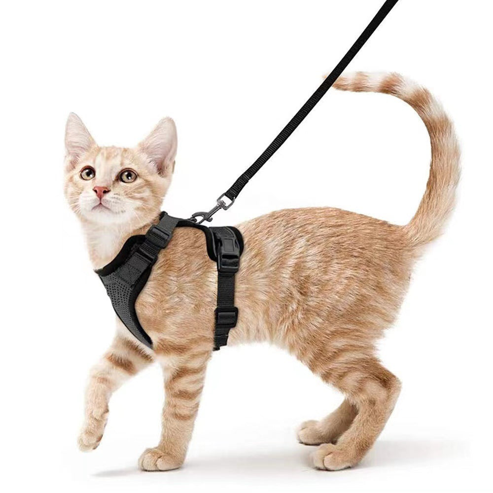 KFX-5881277 Breathable Reflective Cat Harness with Adjustable Straps and Leash