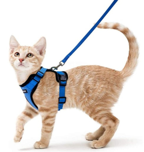 KFX-5881277 Breathable Reflective Cat Harness with Adjustable Straps and Leash
