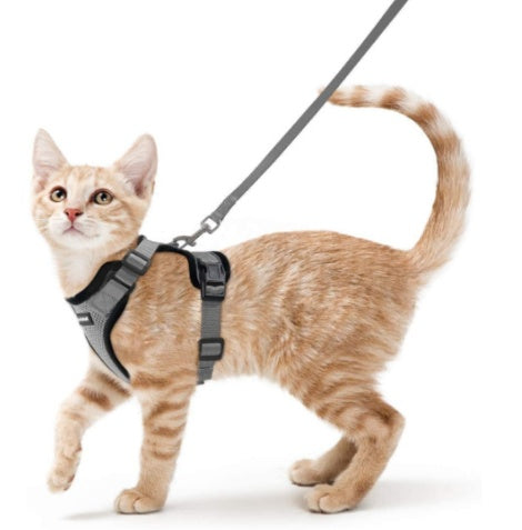KFX-5881277 Breathable Reflective Cat Harness with Adjustable Straps and Leash