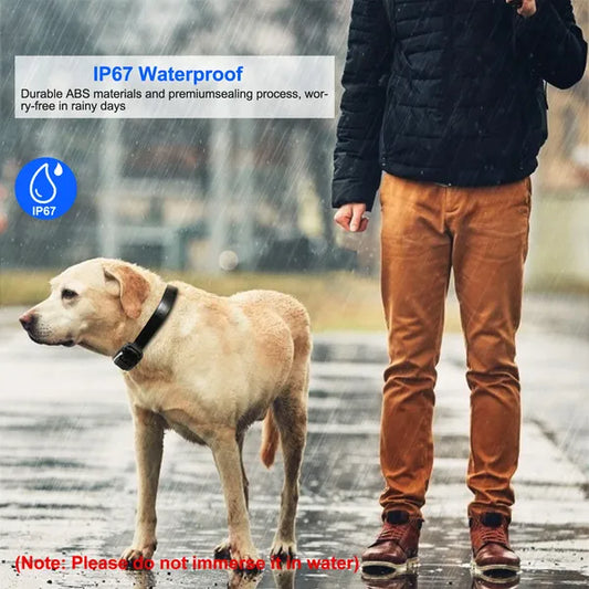 KFX-5883453 Waterproof Dog Training Collar Receiver with Adjustable Belt and High-Sensitive Signal
