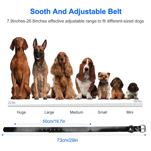 KFX-5883453 Waterproof Dog Training Collar Receiver with Adjustable Belt and High-Sensitive Signal