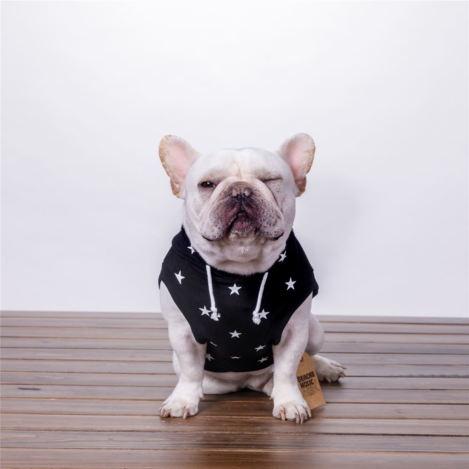 KFX-5886141 Casual Cotton Hoodie for Small Dogs with Cap - Black & White, Multiple Sizes Available
