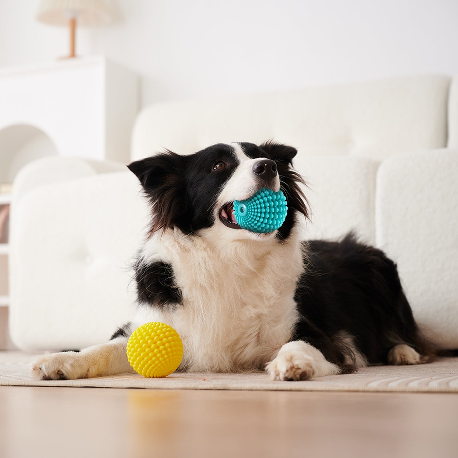 KFX-5900733 Durable Sugar Squeaky Dog Toy for Aggressive Chewers – Suitable for Large and Medium Dogs