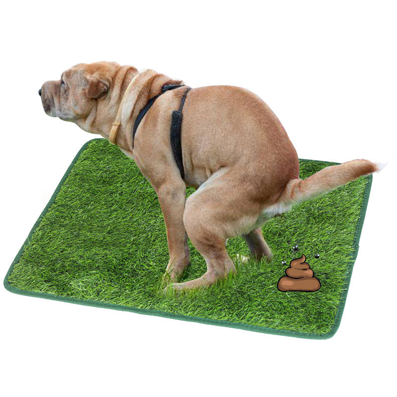KFX-5904061 Washable Turf Training Pad for Dogs - Available in Multiple Sizes