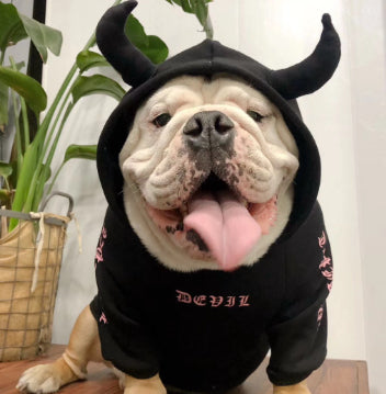 KFX-5904317 Casual Fleece Sweater for Pets - Halloween Themed, Pure Cotton, Various Sizes Available