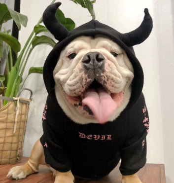 KFX-5904317 Casual Fleece Sweater for Pets - Halloween Themed, Pure Cotton, Various Sizes Available