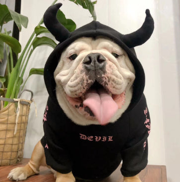 KFX-5904317 Casual Fleece Sweater for Pets - Halloween Themed, Pure Cotton, Various Sizes Available