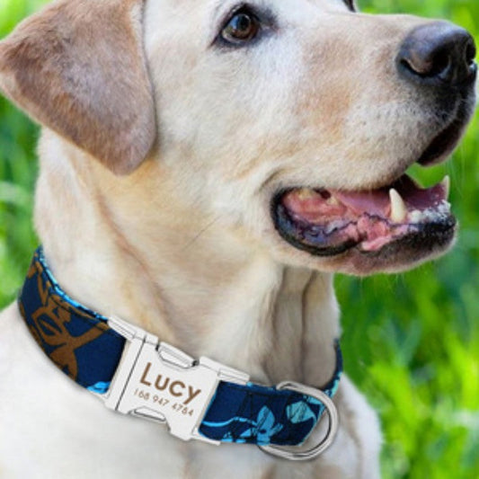 KFX-5910845 Durable Adjustable Dog Collar for Small, Medium, and Large Breeds