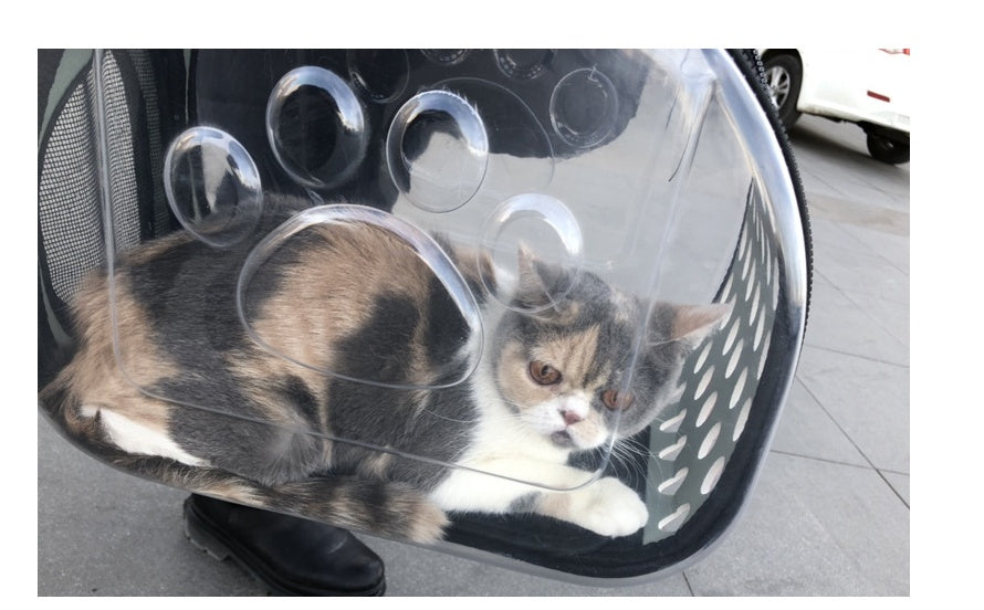 KFX-5922749 Portable Transparent Cat and Dog Backpack - Breathable, Foldable Pet Carrier with Four-Sided Mesh Panels, Small and Large Sizes Available