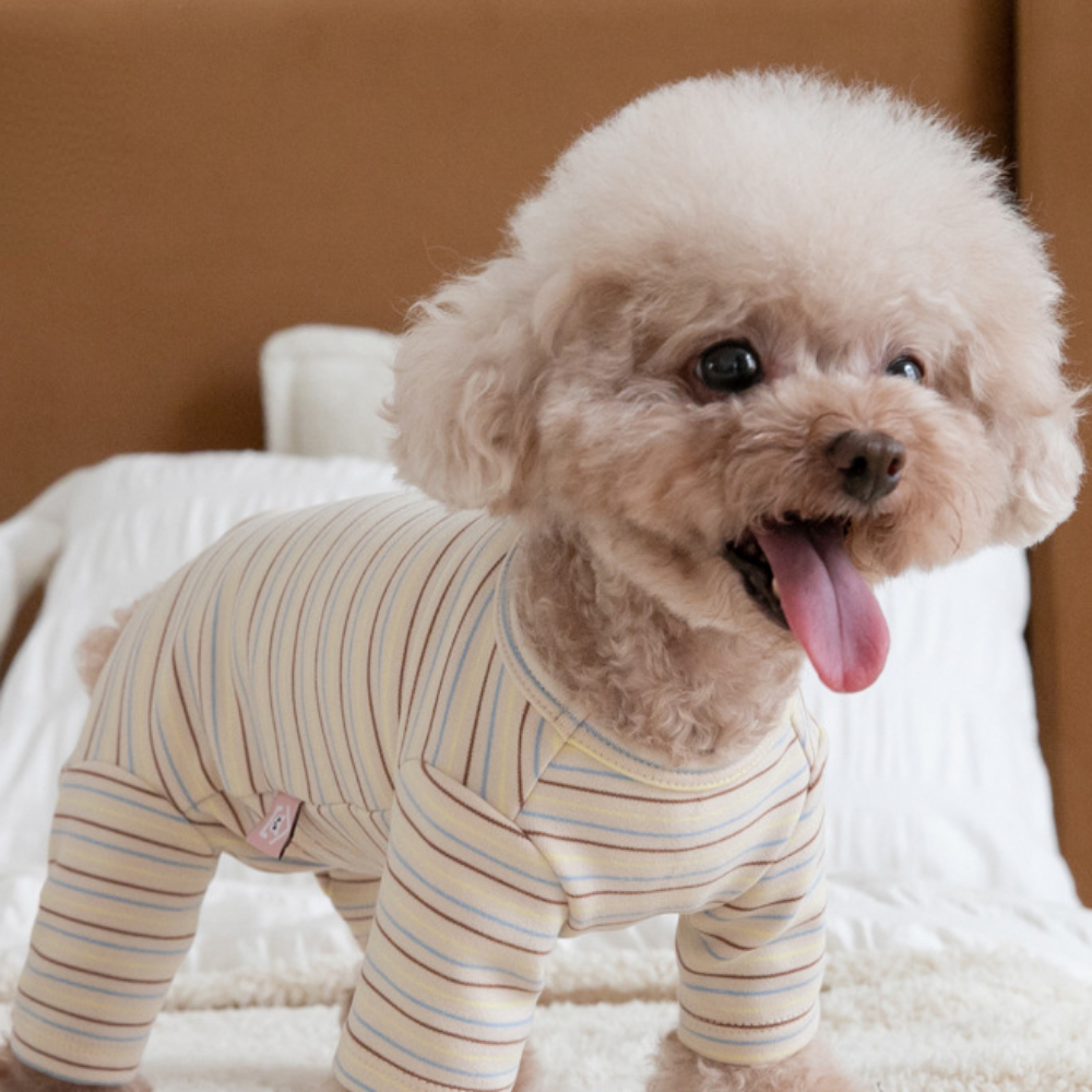 KFX-5924669 Fashion Minimalist Striped Pet Dog Clothing in Apricot, Orange, and Green