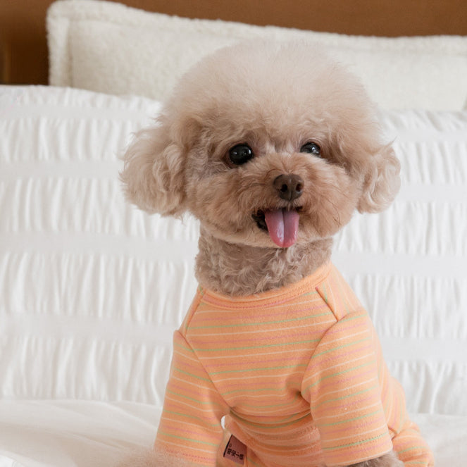 KFX-5924669 Fashion Minimalist Striped Pet Dog Clothing in Apricot, Orange, and Green