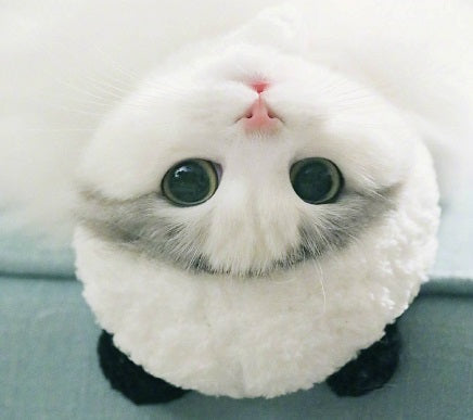 KFX-5925309 Adorable Panda Pet Hat - Wool, Sizes S, M, L for Cats and Teacup Dogs
