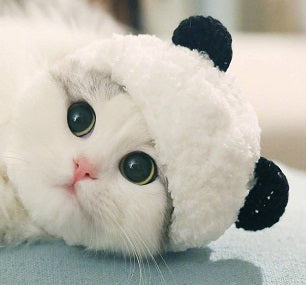 KFX-5925309 Adorable Panda Pet Hat - Wool, Sizes S, M, L for Cats and Teacup Dogs