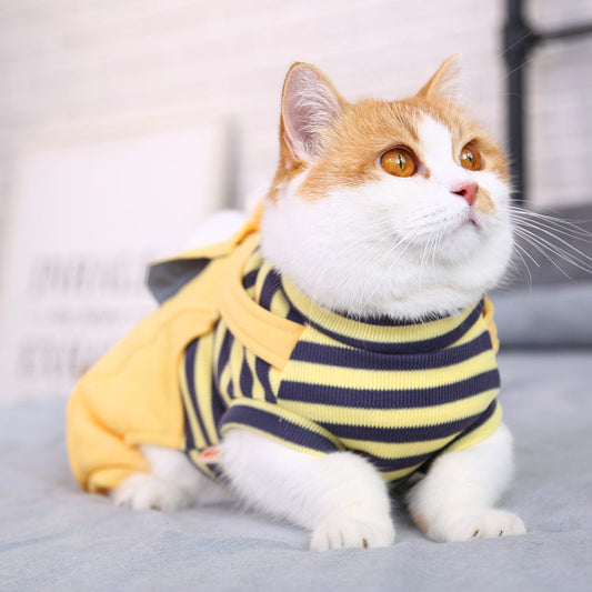 KFX-5926845 Four-Legged Cartoon Cat Suit with Pleated Lace – Multiple Colors and Sizes Available
