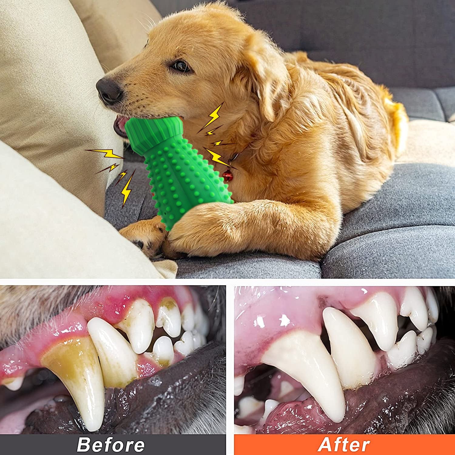KFX-5936829 Sounding Cactus Rubber Dog Chew Toy for Medium & Large Dogs
