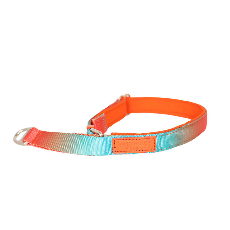 KFX-5939773 Zero Pressure Cat Collar and Traction Rope Set, Adjustable Fit for Neck Sizes 36-54cm