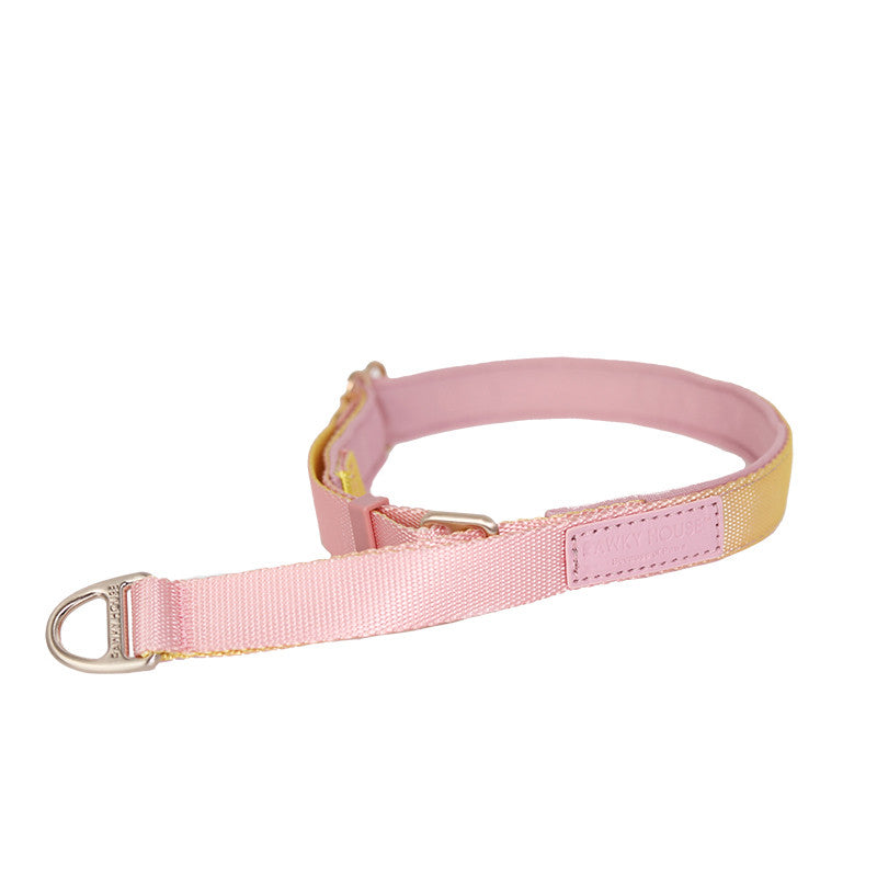 KFX-5939773 Zero Pressure Cat Collar and Traction Rope Set, Adjustable Fit for Neck Sizes 36-54cm