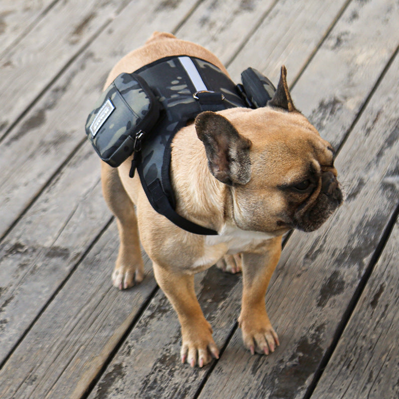 KFX-5946813 Multi-Function Portable Pet Backpack with Leash for Stylish Adventures