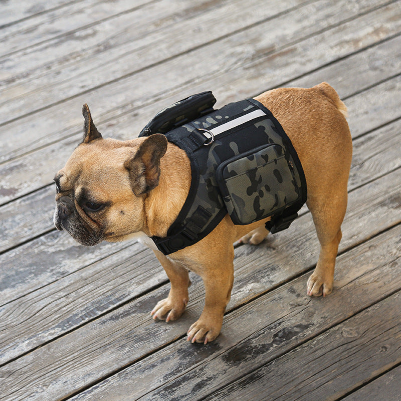 KFX-5946813 Multi-Function Portable Pet Backpack with Leash for Stylish Adventures